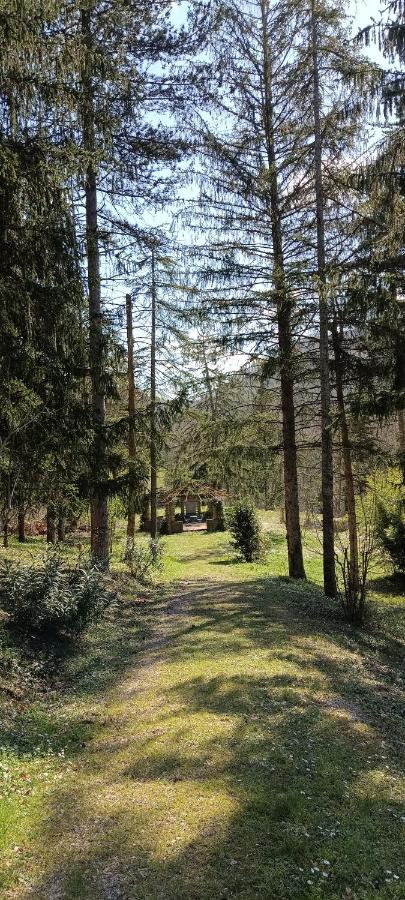 Апартаменти Casale La Pineta Mombaroccio Екстер'єр фото