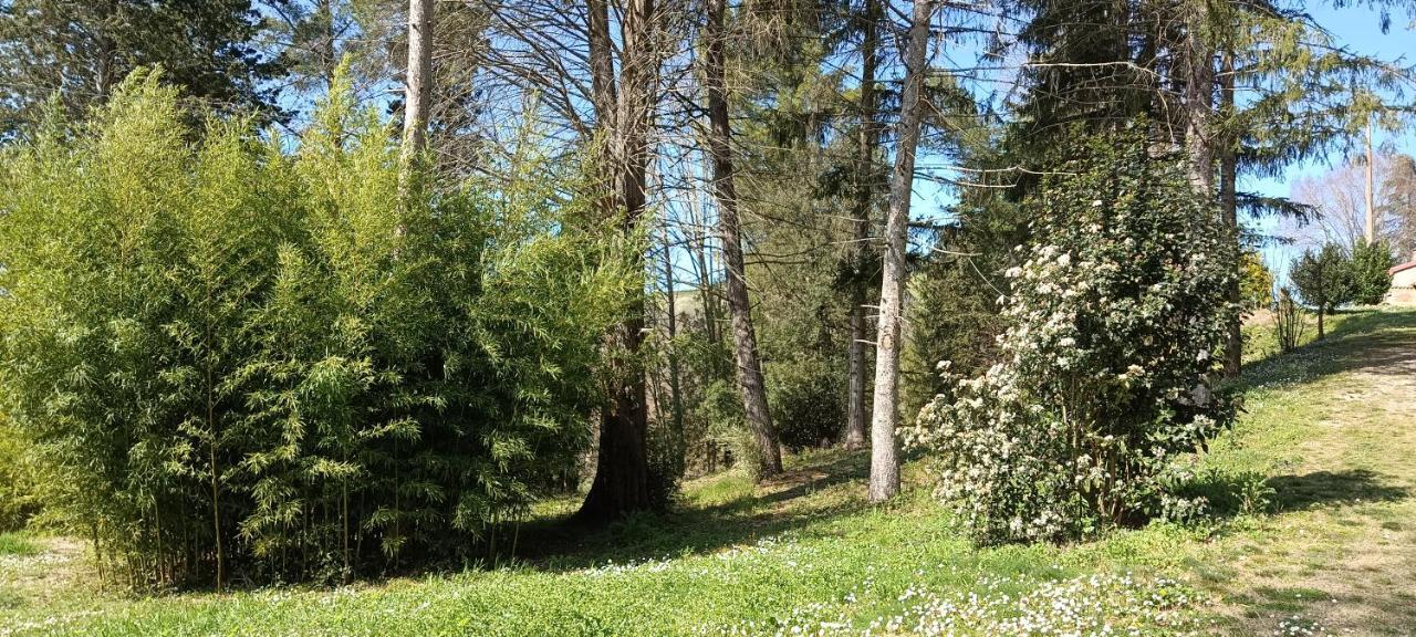 Апартаменти Casale La Pineta Mombaroccio Екстер'єр фото